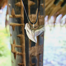 Load image into Gallery viewer, READY TO SHIP Shark Tooth Necklace - Black Cord FJD$ - Adorn Pacific - Necklaces
