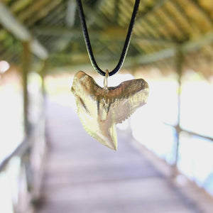 READY TO SHIP Shark Tooth Necklace - Black Cord FJD$ - Adorn Pacific - Necklaces