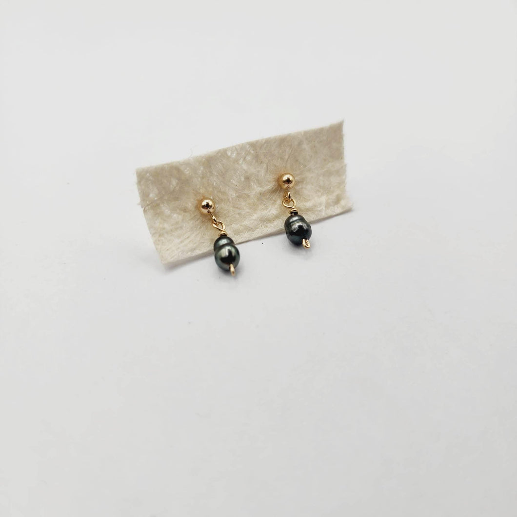 READY TO SHIP - Tahitian Pearl Stud Earrings - 14k Gold Fill FJD$ - Adorn Pacific - Earrings