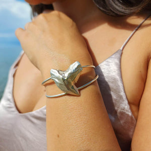 READY TO SHIP - Tiger Shark Tooth Cuff - 925 Sterling Silver FJD$ - Adorn Pacific - Bracelets