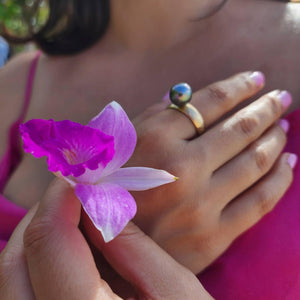 READY TO SHIP - Wide Band Pearl Ring with Graded Fiji Saltwater Pearl - 9k Solid Gold FJD$ - Adorn Pacific - Rings
