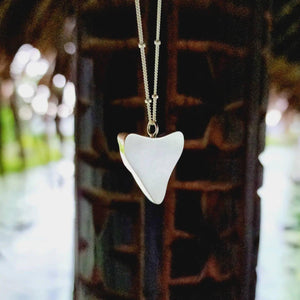 SEND US YOUR TOOTH - Bezel Set Shark Tooth Necklace - 925 Sterling Silver FJD$ - Adorn Pacific - All Products
