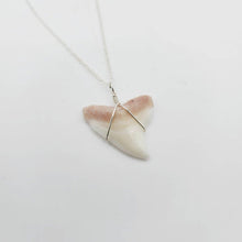 Load image into Gallery viewer, SEND US YOUR TOOTH - Shark Tooth Necklace - 925 Sterling Silver FJD$ - Adorn Pacific - All Products
