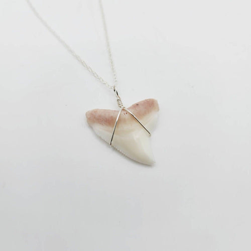 SEND US YOUR TOOTH - Shark Tooth Necklace - 925 Sterling Silver FJD$ - Adorn Pacific - All Products