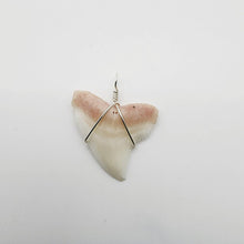 Load image into Gallery viewer, SEND US YOUR TOOTH - Shark Tooth Necklace - Nylon Cord FJD$ - Adorn Pacific - All Products
